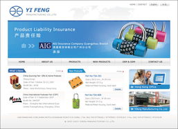 網(wǎng)站設(shè)計與軟件開發(fā) 雙翼齊飛，共創(chuàng)數(shù)字未來